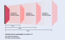 Ladda upp bild till gallerivisning, Dubbel Basic Röd Ljus Panel
