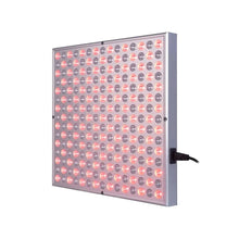 Ladda upp bild till gallerivisning, Dubbel Basic Röd Ljus Panel

